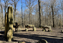 Randonnée en forêt de Meudon