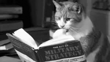 Vivre livres !