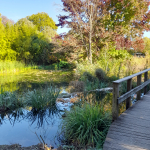 Balade au bois de Vincennes