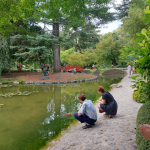 Jardins et Musée Albert Khan