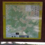 Randonnée du Perray-En-Yvelines à Rambouillet par la forêt.