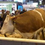 Salon international de l'agriculture de Paris 2015