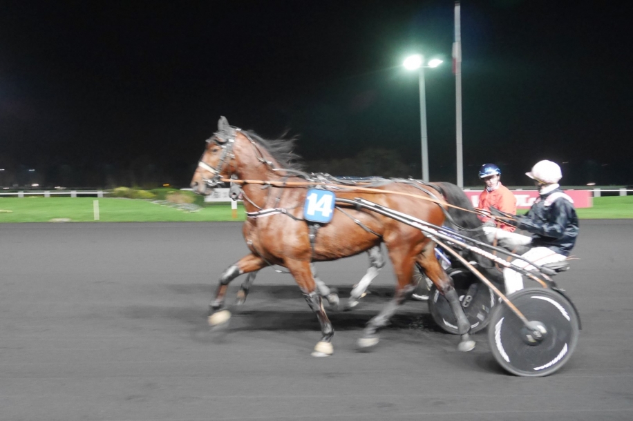 After-Work à l'Hippodrome Paris-Vincennes