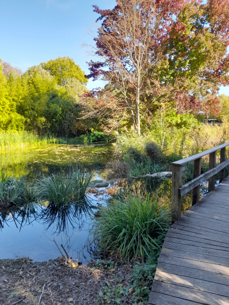 Balade au bois de Vincennes