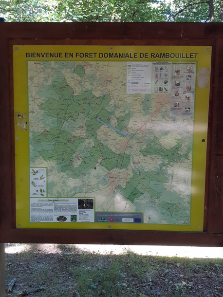 Randonnée du Perray-En-Yvelines à Rambouillet par la forêt.