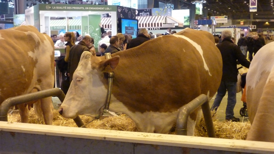 Salon international de l'agriculture de Paris 2015