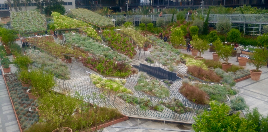 Les Jardins d'Orient à l'Institut du Monde Arabe