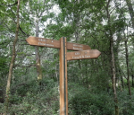 Randonnée du Perray-En-Yvelines à Rambouillet par la forêt.